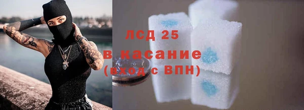 индика Алзамай