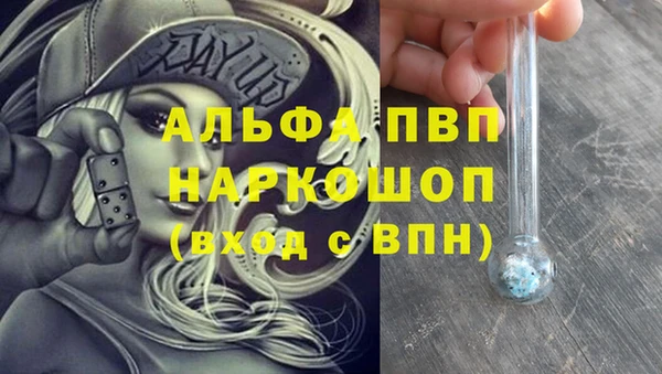 индика Алзамай