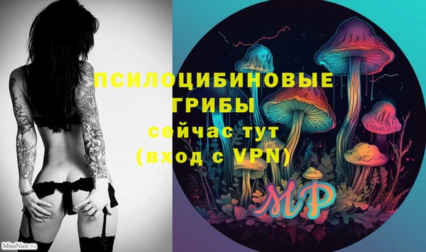 2c-b Алексеевка